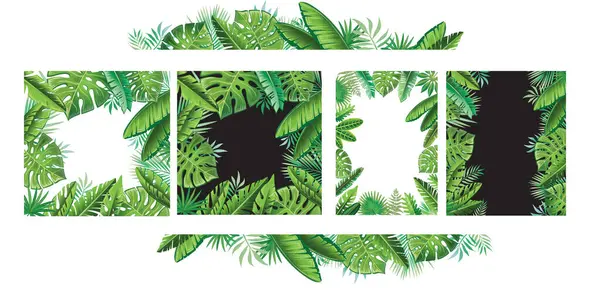 Conjunto Marcos Hojas Tropicales Verdes Diseño Botánico Vectores de stock libres de derechos