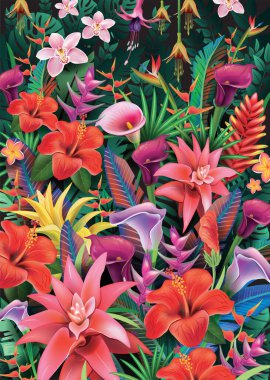 Tropikal bitkilerin ve egzotik çiçeklerin arka planı, vektör illüstrasyonu