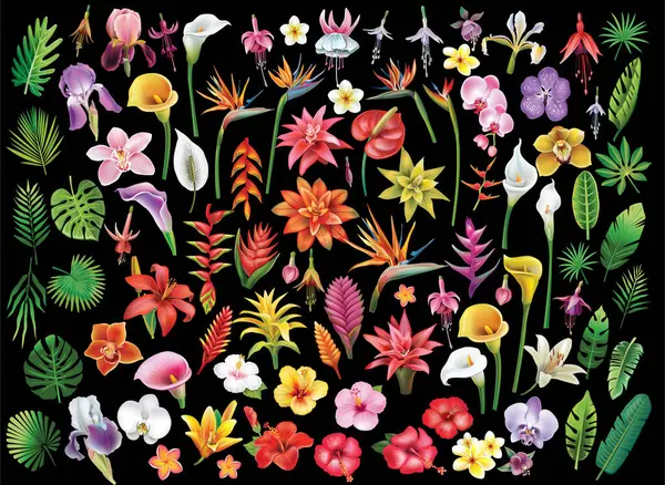 Uppsättning Tropiska Blommor Och Blad Vektor Illustration Stockillustration