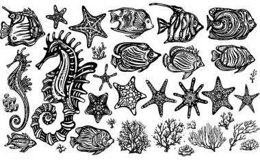 Biçimlendirilmiş dekoratif Deniz yaşamı. Tırman, Balıklar, denizatları, Deniz yıldızları, mercanlar, siyah beyaz vektör çizimleri.