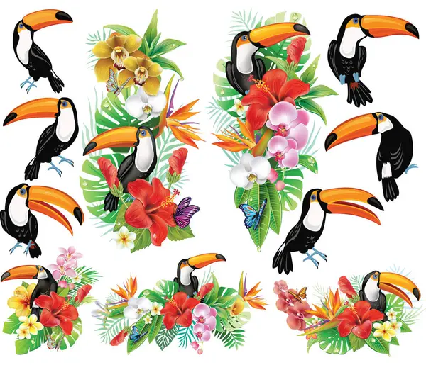 Tropical Toucan Set with Exotic Flowers, Hibiscus, Orchids, Palm Leaves, and Rainforest Foliage. Perfect for summer, jungle themes, and tropical designs