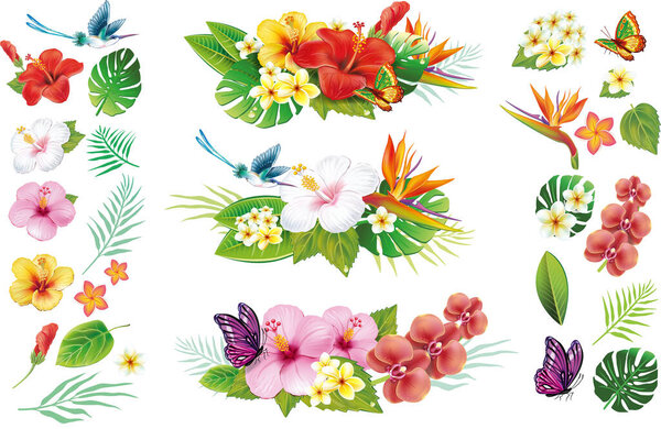 Набор из листвы и листьев, с листьями и листьями, перфекция для лета, джунгли и другие узоры