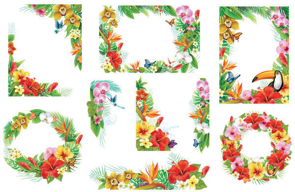 Векторная иллюстрация тропических цветочных рамок с яркими цветами, колибри, бабочками и туканом. Яркие цвета и пышная листва создают оживленную, экзотическую атмосферу.
