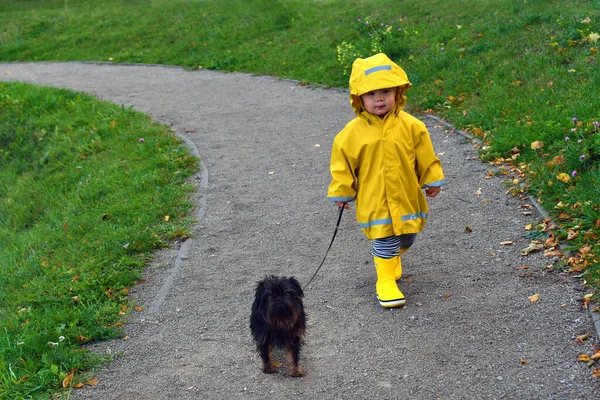 雨の中で彼の犬と一緒に歩く黄色のレインコートを身に着けている小さな幼児 — ストック写真