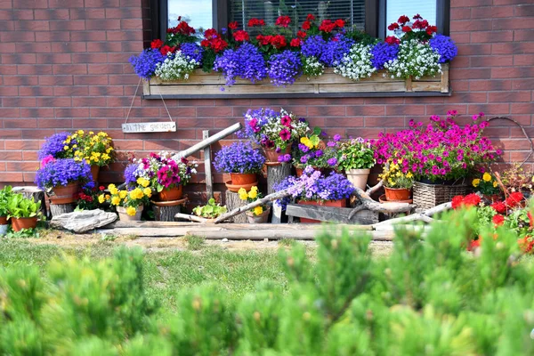 Tuin Huis Achtertuin Mooie Aangelegde Tuin Met Bloembed Onder Het — Stockfoto