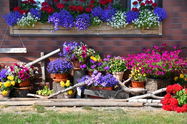 家の裏庭で庭 窓の下に花壇と美しい景観の庭 夏の住宅の庭の造園 景観デザイン — ストック写真