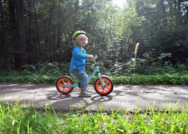 Piccolo Ragazzo Carino Sella Alla Sua Balance Bike Nella Foresta — Foto Stock