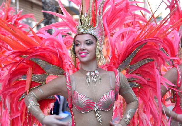 Torrevieja Espanha Fevereiro 2024 Participantes Desfile Anual Carnaval Mardi Gras Imagens De Bancos De Imagens Sem Royalties