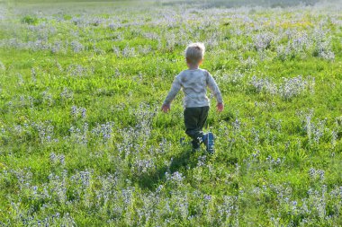Yeşil yaz çayırlarında koşan küçük sarışın çocuk.