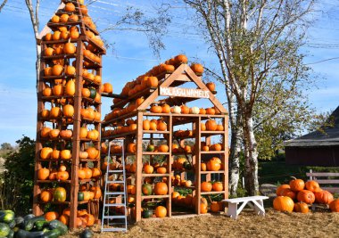 Balkabağı tarlasında fotoğraf ve özçekim için komik bir balkabağı evi. Çocuklar için cazibe