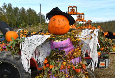 Litvanya 'da Cadılar Bayramı tatilinde balkabağı tarlasında komik bir korkuluk karşılaması.