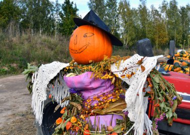 Litvanya 'da Cadılar Bayramı tatilinde balkabağı tarlasında komik bir korkuluk karşılaması.