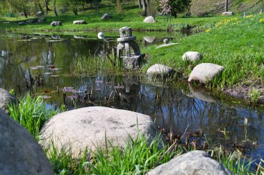Bataklık gölü ve taş süslemeleri olan eski bir Japon bahçesi.