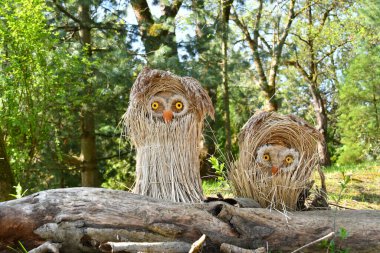 Doğal malzemelerden yapılmış dekoratif baykuşlar figürü. DIY bahçe dekorasyonu