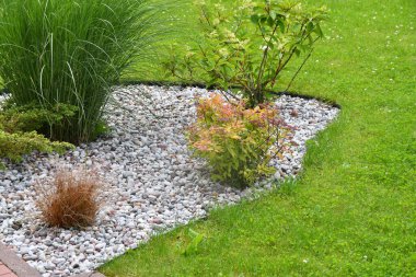 Dekoratif çakıl taşları, süs çimenleri ve yeşil bahçe düzenlemeleri olan modern bahçe.