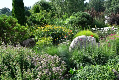 Çiçek tarhında çiçek açan bitkiler ve Litvanya kırsalında büyük dekoratif granit kayalar.
