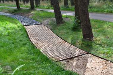 Litvanya 'da güneşli bir çam ormanında çıplak ayaklı duyusal patika, Melno takas