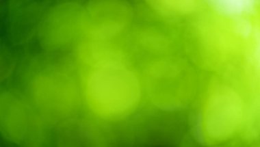 abstract blurred leaves of tree in nature forest with sunny and bokeh light.