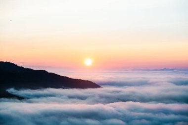 Ukrayna, Avrupa 'daki Karpat Dağları' nda sabah sisli dağlarda. Dramatik bir sahne. Güzellik dünyası