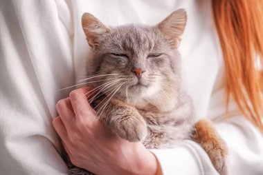 Kızıl saçlı bir kızın kollarında bir kedi