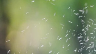 Su damlacıkları yavaş çekimde soyut bir arkaplan üzerine düşüyor.