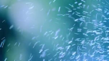 Yavaş çekim 4K 'lık su damlaları canlı ve soyut bir arkaplana çarpıyor.
