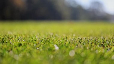 4K yakın plan yeşil futbol çimleri yavaşça sallanıyor, ideal spor görüntüleri.