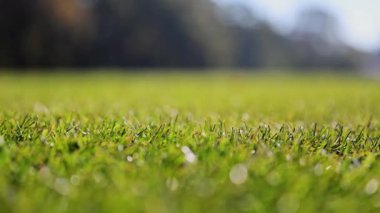 Güneşli bir futbol sahasındaki yemyeşil çimlerin 4K yavaş çekim görüntüsü