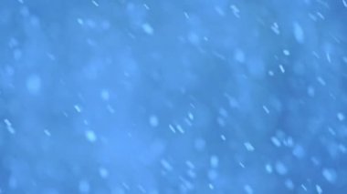 Düşen kar taneleri ile yumuşak mavi bokeh 4K yavaş çekim, kış ve şenlik hissi