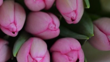 Bir buketteki pembe lalelerin yakın çekimi, yumuşak odaklı makro detaylarla taze bahar çiçekleri.
