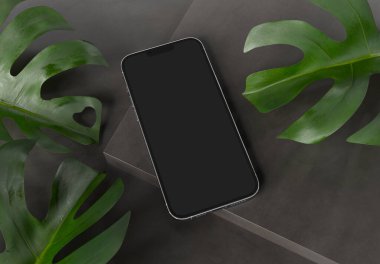 PARIS - Fransa - 15 Mart 2023: Apple PARIS - Fransa - 15 Mart 2023: Apple akıllı telefonu, Iphone 14 profesyonel. Gümüş rengi gerçekçi 3D görüntüleme, ön ekran mobil mobese gölge ve beton ekran yansıması