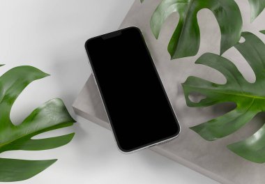 PARIS - Fransa - 15 Mart 2023: Apple PARIS - Fransa - 15 Mart 2023: Apple akıllı telefonu, Iphone 14 profesyonel. Gümüş rengi gerçekçi 3D görüntüleme, ön ekran mobil mobese gölge ve beton ekran yansıması