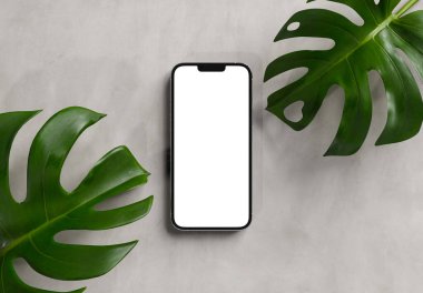 PARIS - Fransa - 15 Mart 2023: Apple PARIS - Fransa - 15 Mart 2023: Apple akıllı telefonu, Iphone 14 profesyonel. Gümüş rengi gerçekçi 3D görüntüleme, ön ekran mobil mobese gölge ve beton ekran yansıması