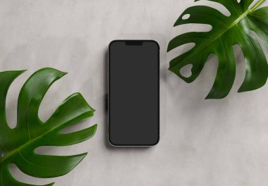 PARIS - Fransa - 15 Mart 2023: Apple PARIS - Fransa - 15 Mart 2023: Apple akıllı telefonu, Iphone 14 profesyonel. Gümüş rengi gerçekçi 3D görüntüleme, ön ekran mobil mobese gölge ve beton ekran yansıması