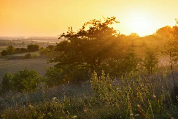 黄昏时分的草场 背景模糊 夏季和秋季自然景观背景 — 图库照片