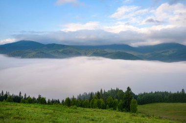 Karpat dağlarında sisli bir sabah. Güzel dağ vadisi sisle kaplıdır. Ukrayna, Avrupa.