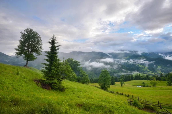 Wspaniała Górska Dolina Pokryta Jest Mgłą Deszczu Zielonymi Alpejskimi Łąkami — Zdjęcie stockowe