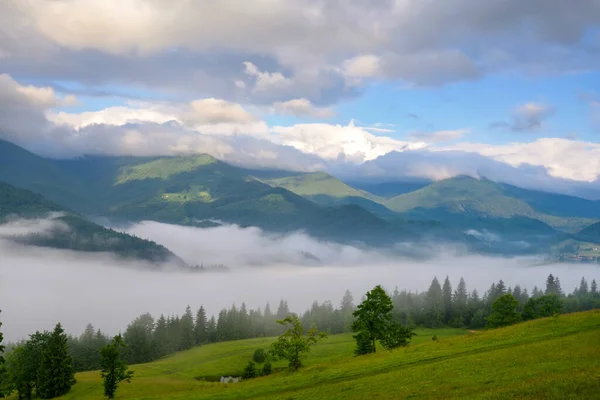 Foggy Morgon Karpaterna Vacker Fjälldal Täckt Dimma Ukraina Europa — Stockfoto