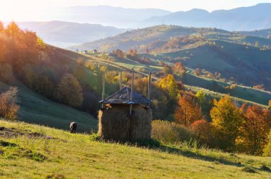 Parlak ağaçlar ve samanlıklarla dolu sabah ışığında güzel sonbahar dağ manzarası. Carpathian, Ukrayna, Avrupa.