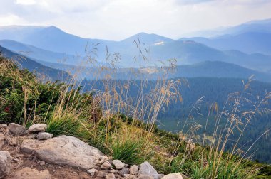 Harika dağ manzarası. Bulutlu gün. Sonbahar çimleri ön planda.