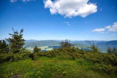 Dağlarda yaz manzarası ve bulutlu mavi gökyüzü. Carpathian, Ukrayna, Avrupa.