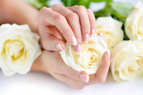 Handen Van Een Vrouw Met Mooie Franse Manicure Witte Rozen Stockfoto