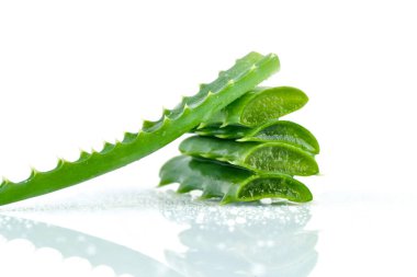 Taze aloe vera yaprakları beyaz arka planda ve su damlacıklarıyla birlikte. Sağlık ve güzellik ürünleri için.