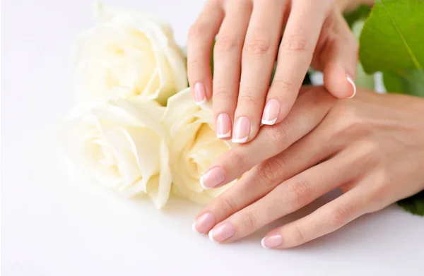 Ręce Kobiety Pięknym Francuskim Manicure Białe Róże — Zdjęcie stockowe