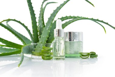 Taze aloe vera yaprakları ve dilimler, krem, aloe vera özlü kozmetik serumu beyaz arka planda pipeti olan cam kapta. Doğal kozmetik konsepti.
