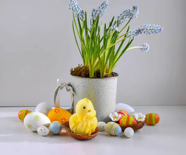 Yellow Chick Nest Colored Easter Eggs Spring Light Blue Flowers — Stock Photo, Image