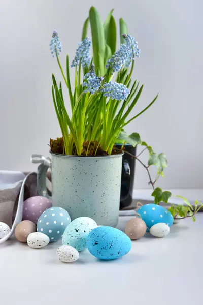 Easter Eggs Light Blue Muscari Flowers Cup White Table Easter — Stock Photo, Image