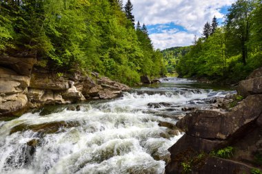 View of the turbulent water flow of the mountain river among the green forest