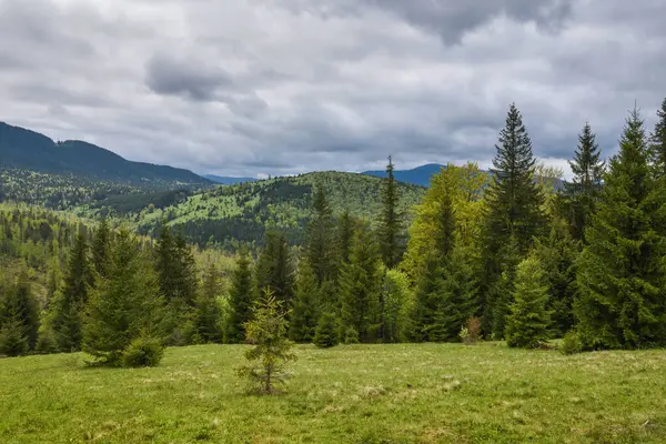 Picturesque mountain landscape. Mountain slopes with meadows, forests and cloudy sky. Carpathians. Ukraine