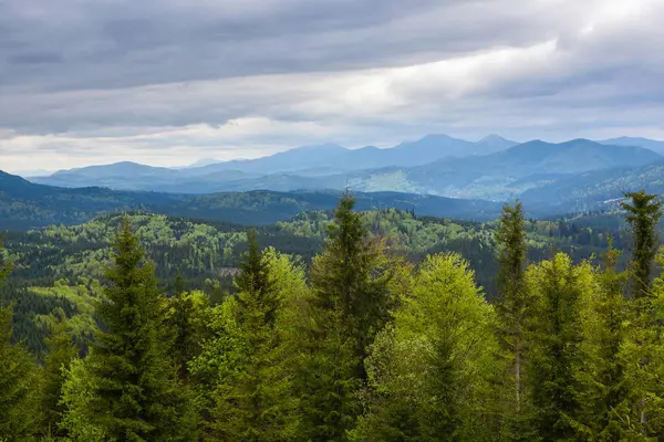 Picturesque mountain landscape. Mountain slopes with meadows, forests and cloudy sky. Carpathians. Ukraine